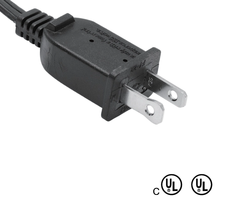 FY-2R 13A 125V 2ピン米国標準プラグ、ヒューズ付き